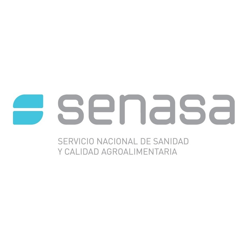 Thumbnail project User Experience Design